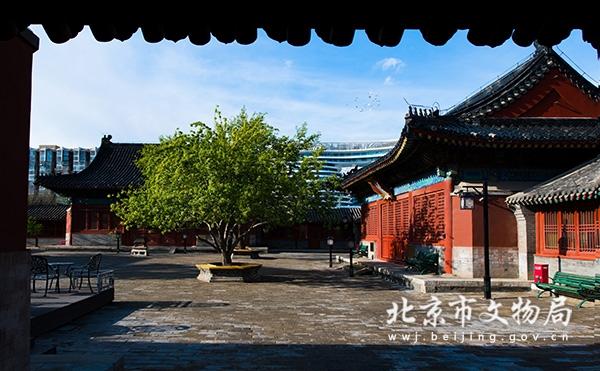 5隐于闹市中的智化寺  拍摄者：杨志国