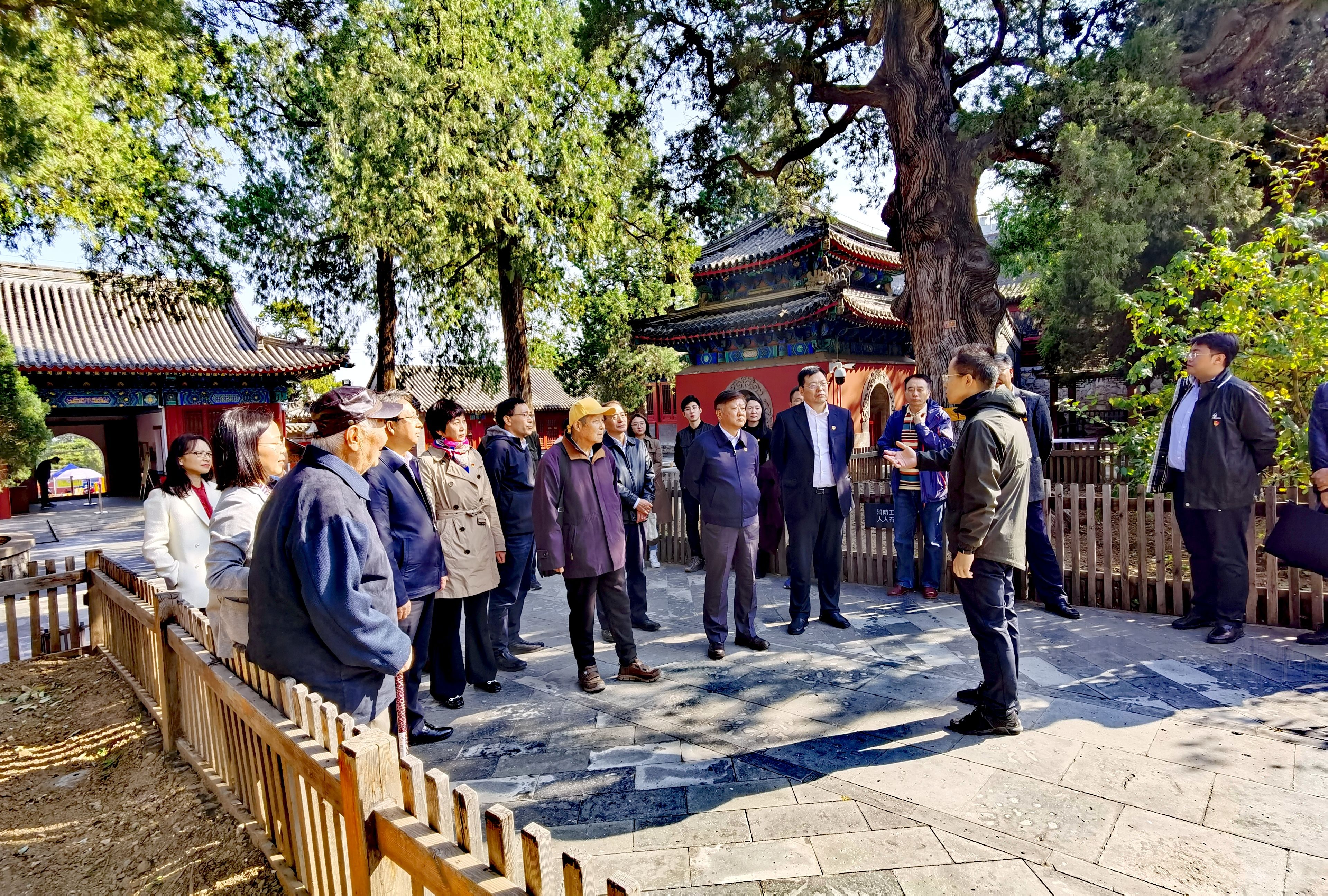 20201015北京林业大学校方领导到大觉寺开展“访建校原址、坚定办学初心”实地调研1