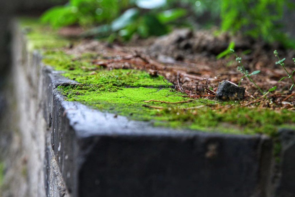 1.6_935eec1521e477ce3a5f5e6b7f80c5b7_thumb