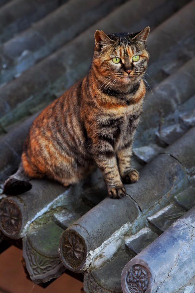 1.19_b13129fc645e99914ad21fb32edb7d33_thumb