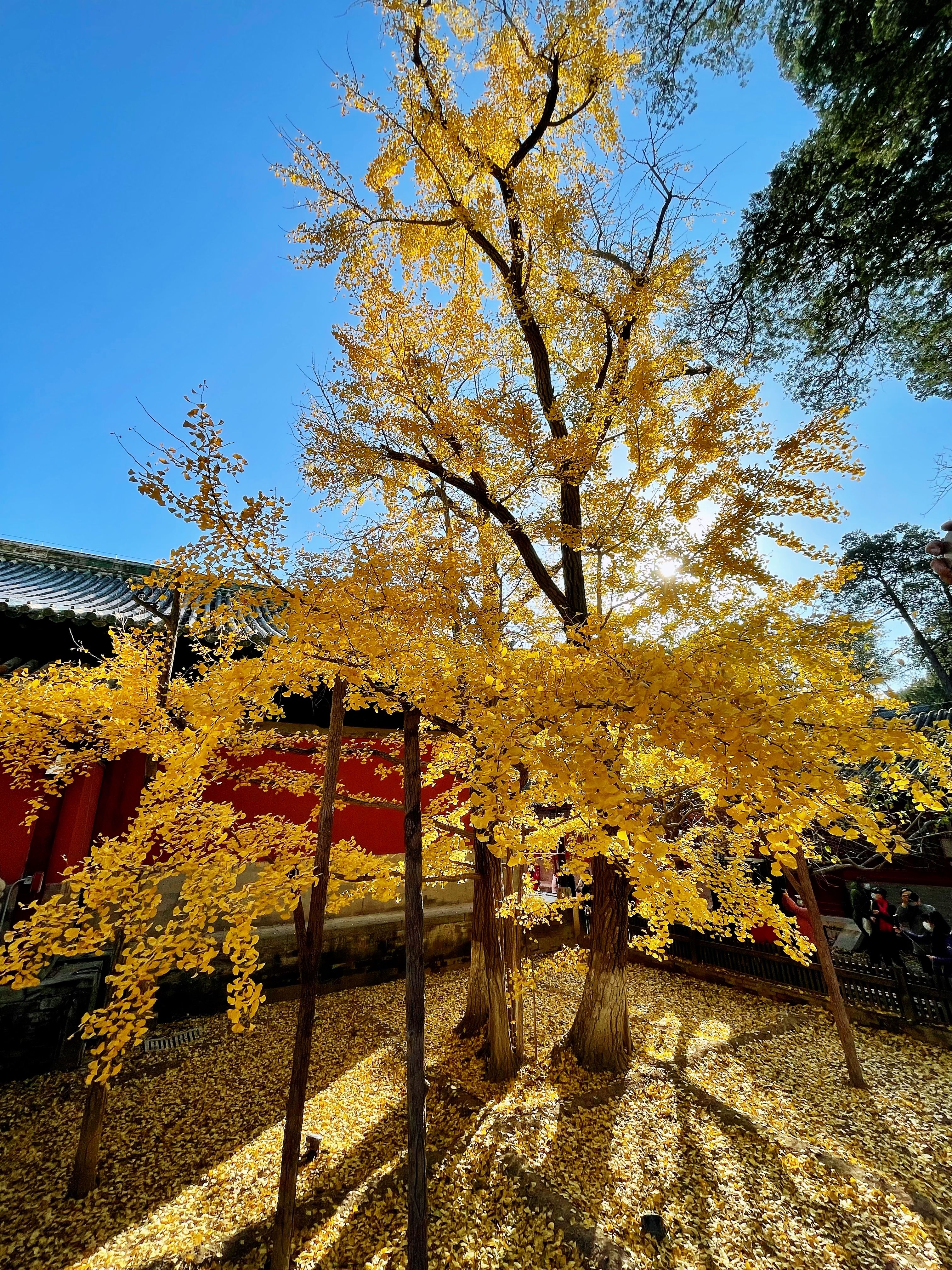 2BFD37B3-F0A8-418D-8602-34BF2BBBEA10