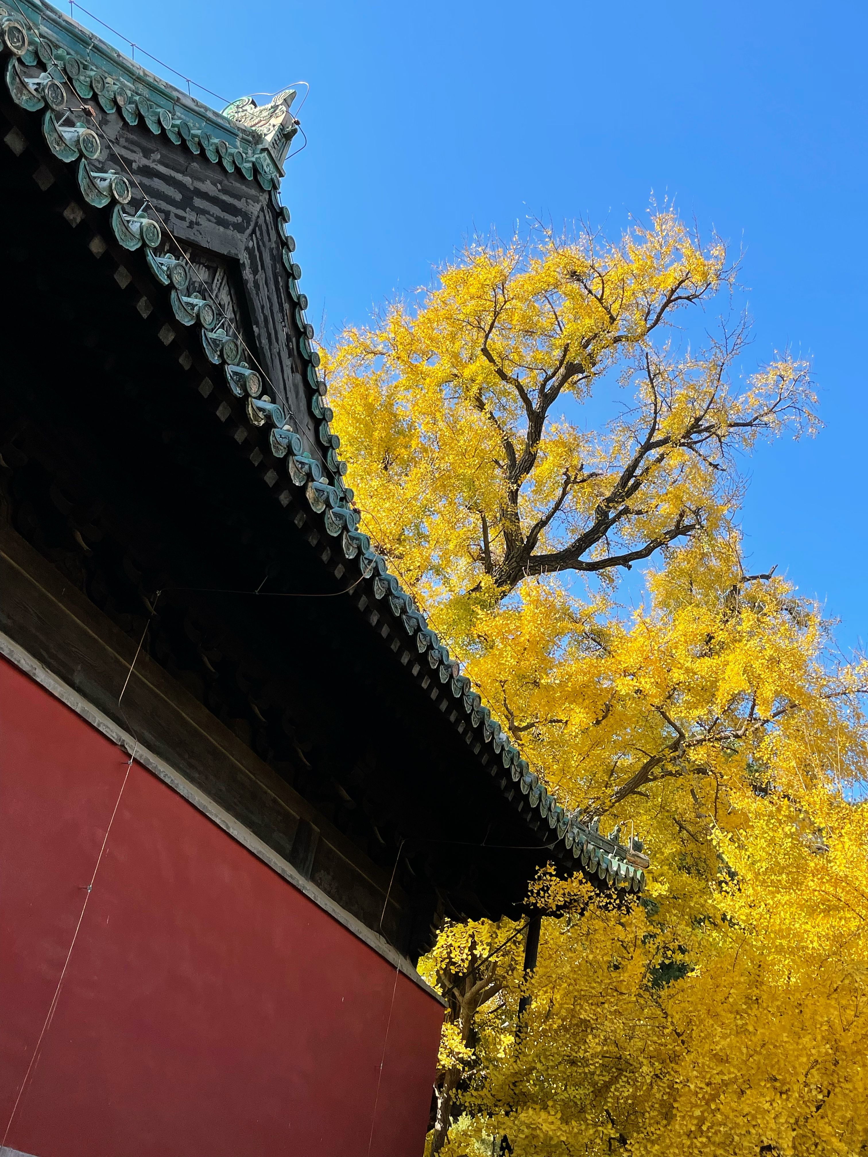 5E826041-AD0C-46E6-80EB-BB2CDAB9326C