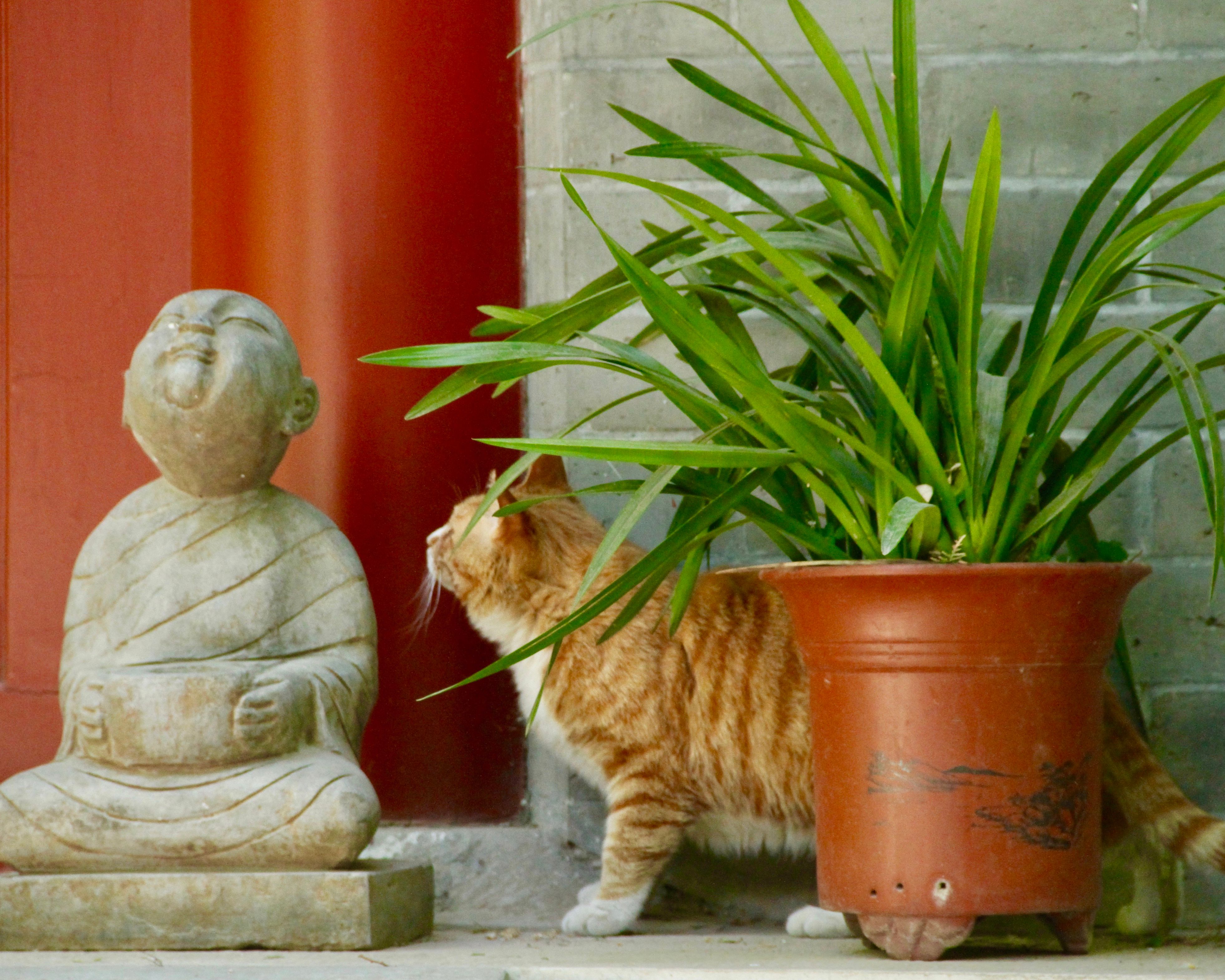 7ed630ef7181683ee2c907e4e9dfa8d6