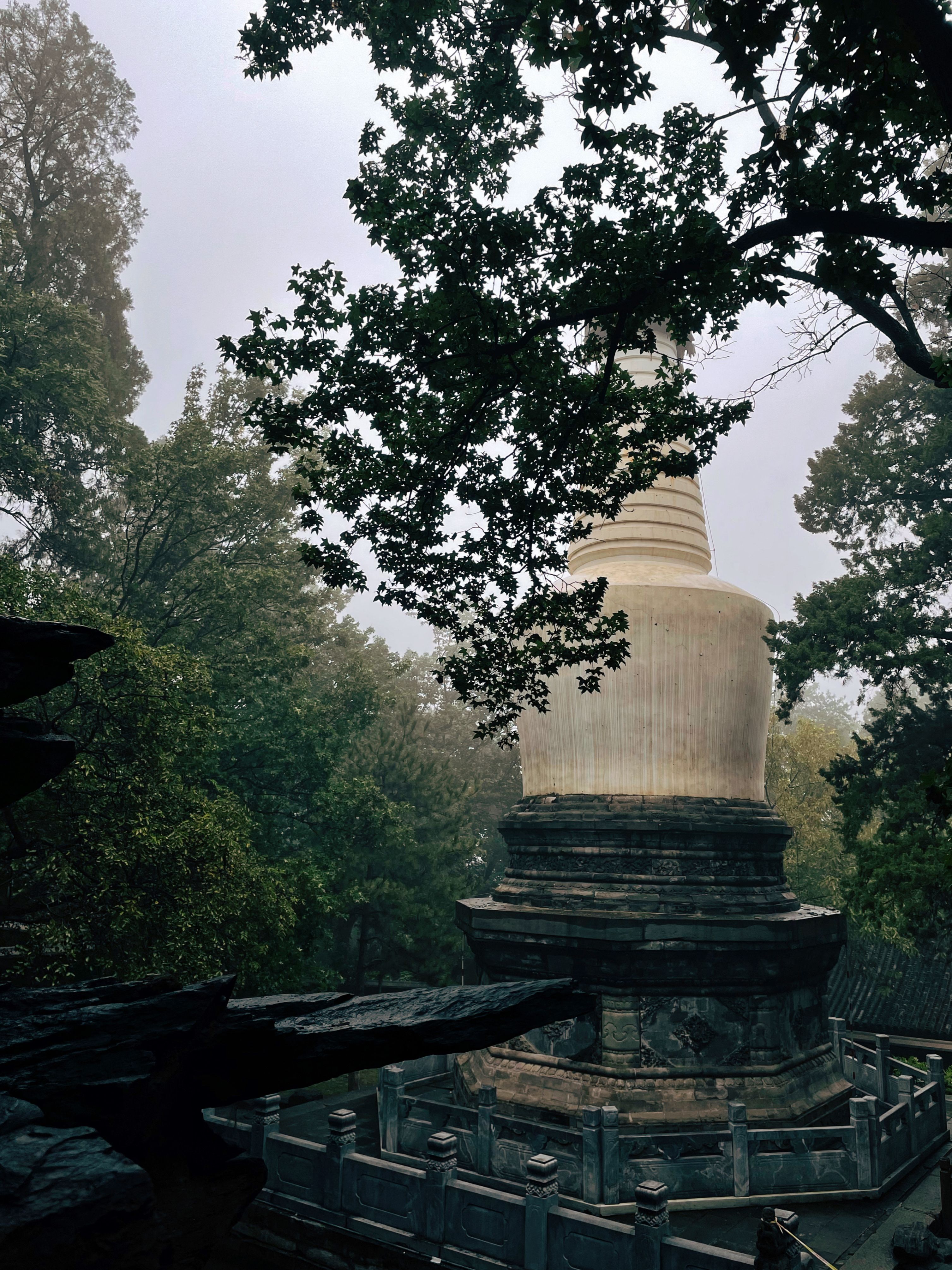 2021_10_09_15_16_IMG_4513