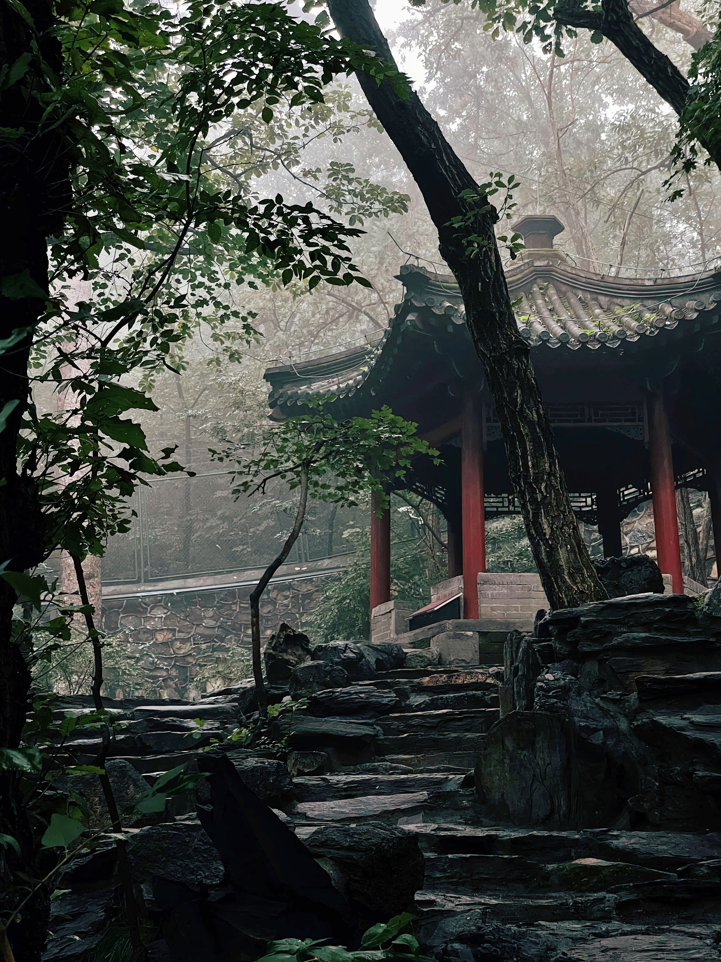 2021_10_09_15_18_IMG_4518