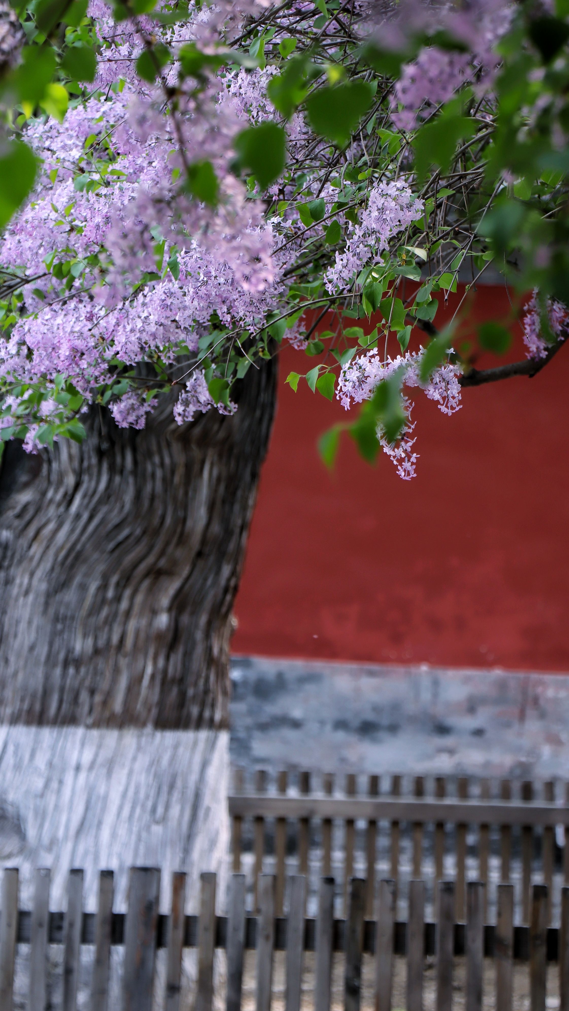 20210410133103_IMG_3557-01