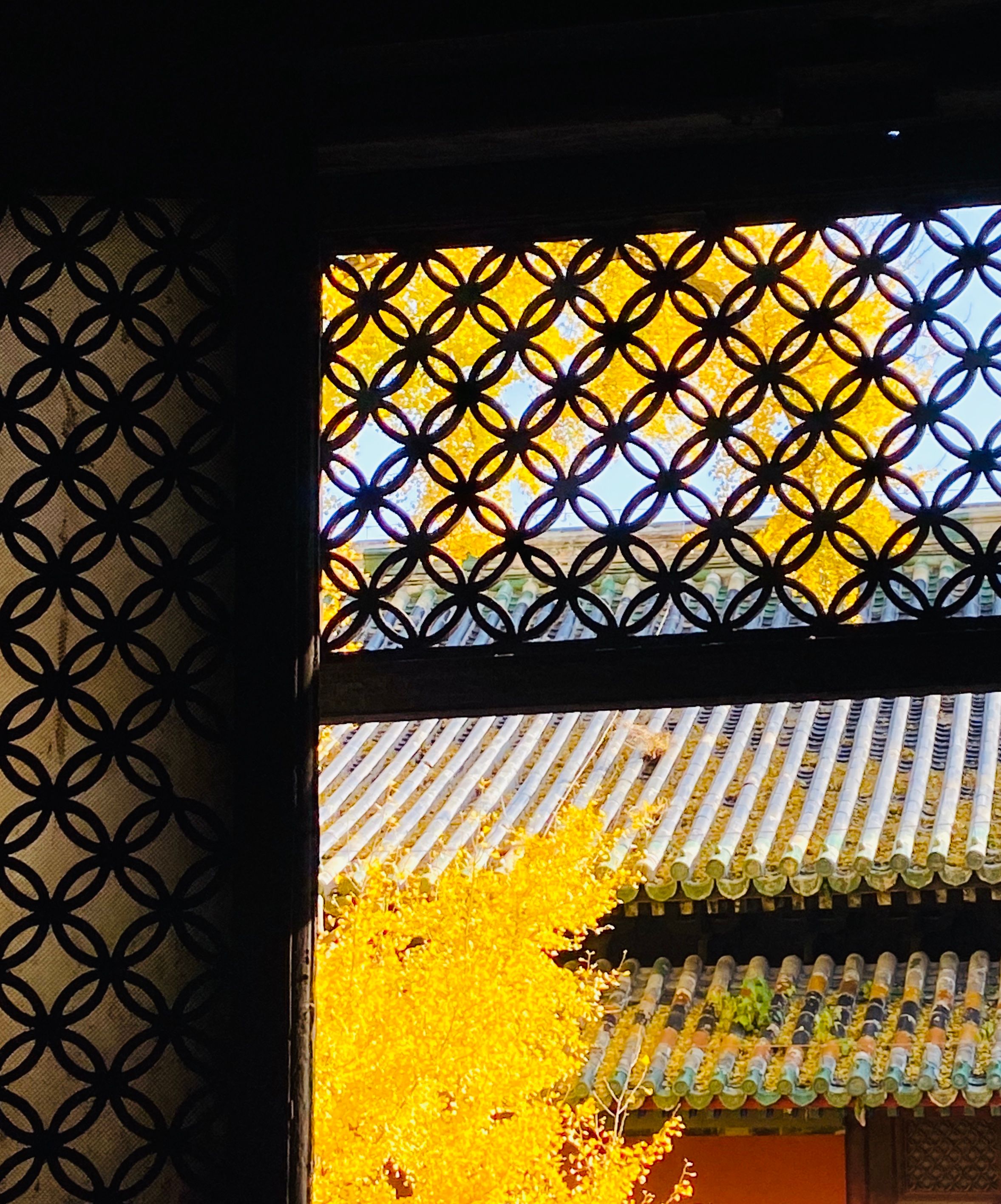 IMG_1685(20211031-234425)