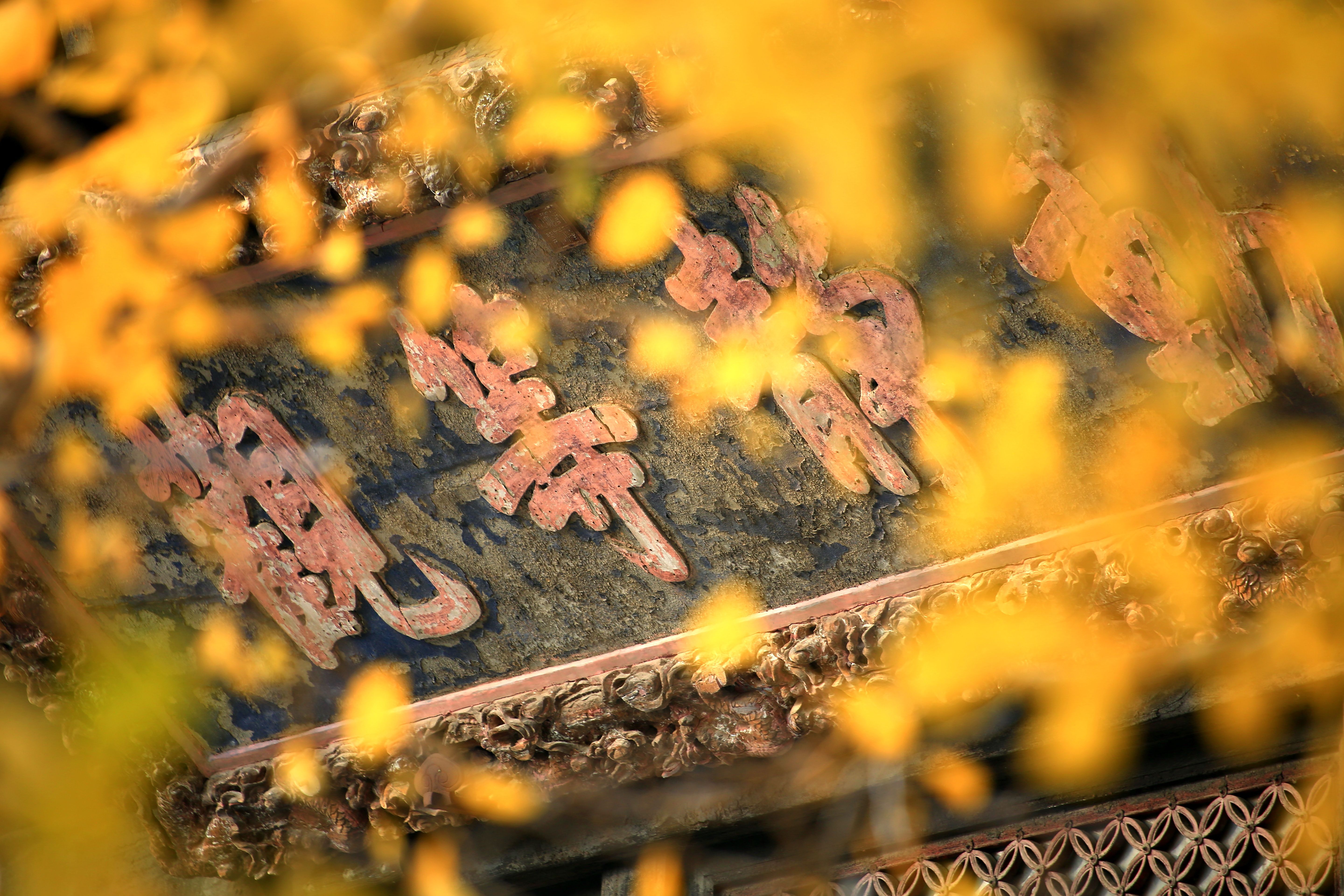 我和大觉寺1-李巾