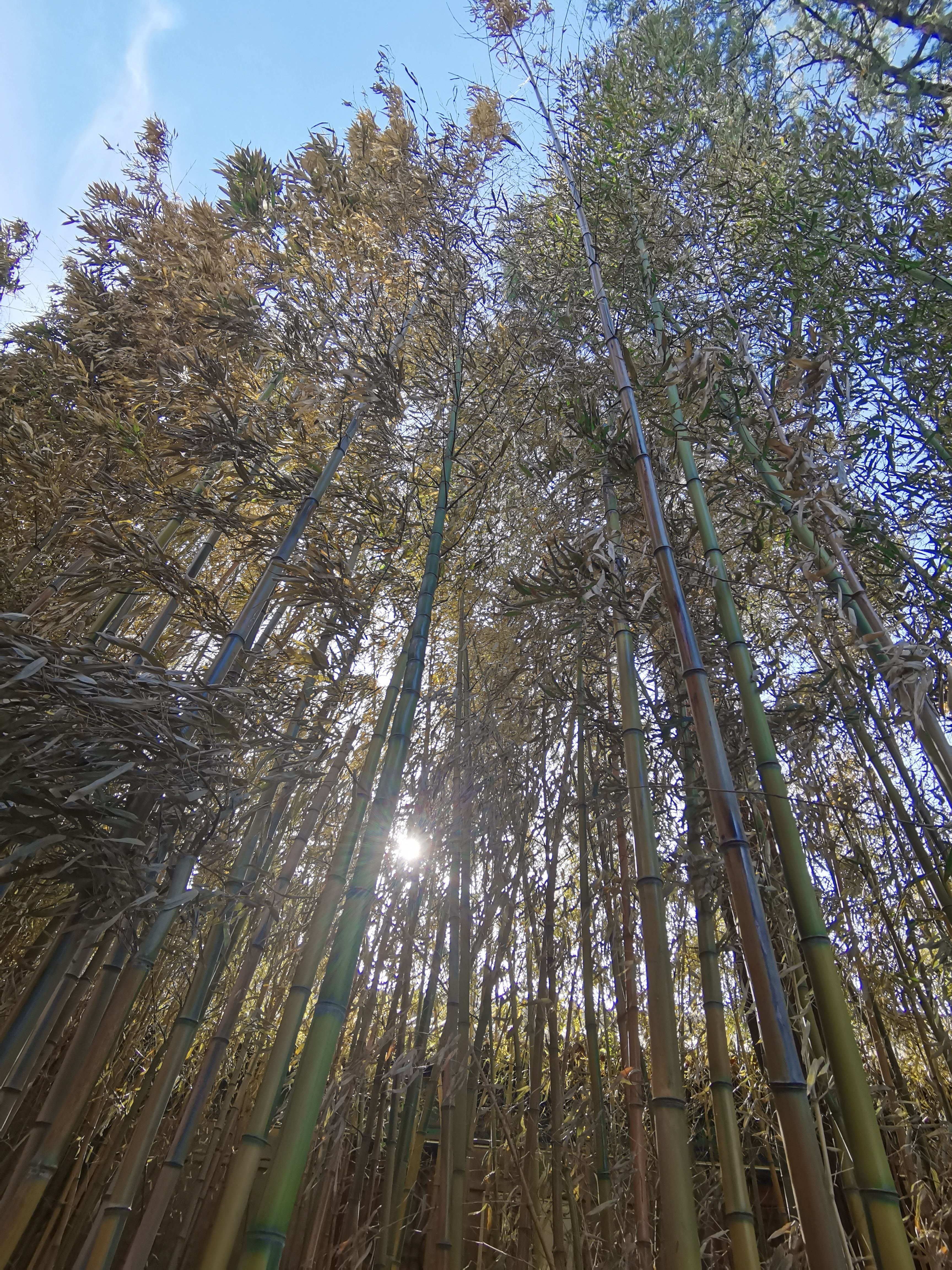 微信图片_20210512000357