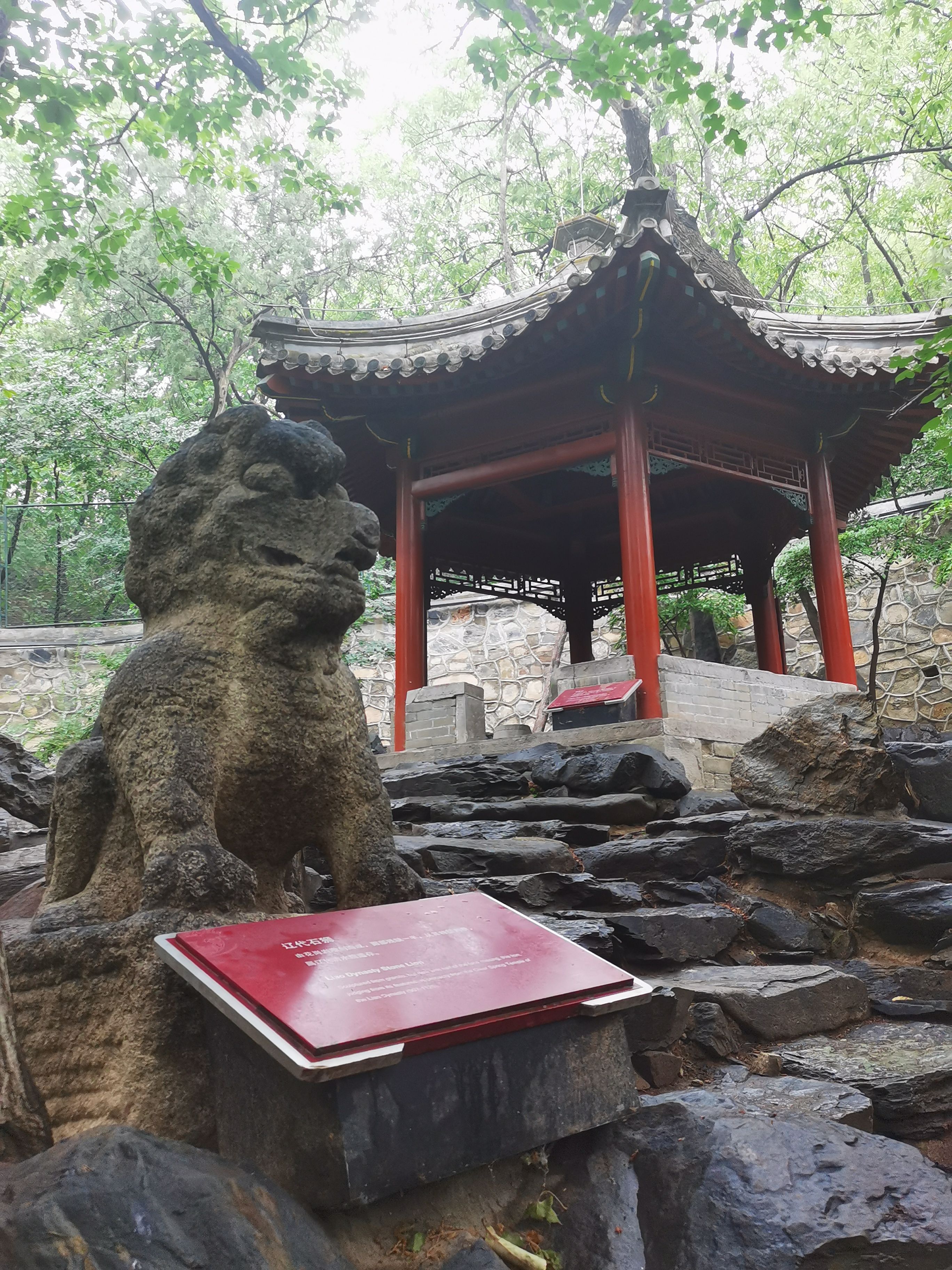 图片4