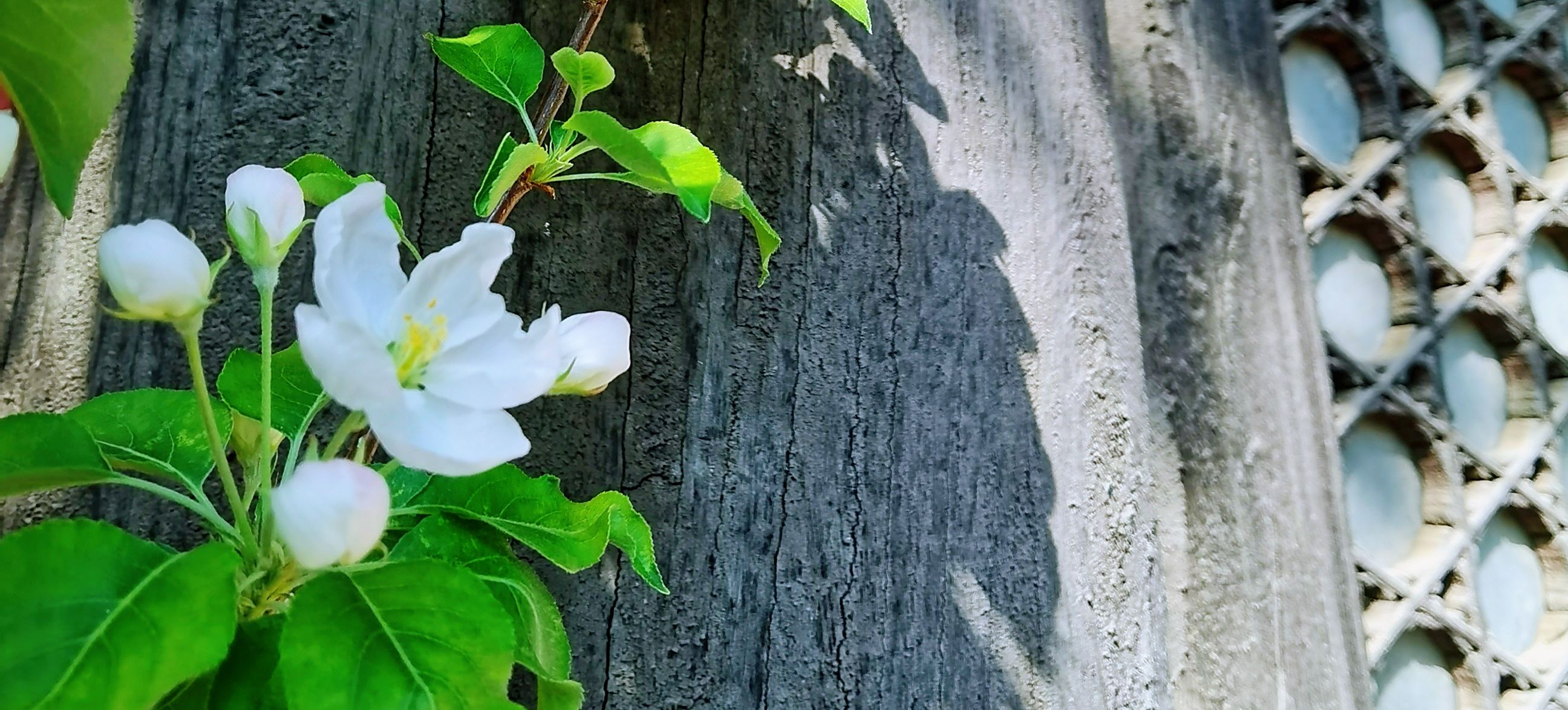 8 8